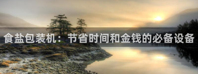 威九国际ppt免费下载网址