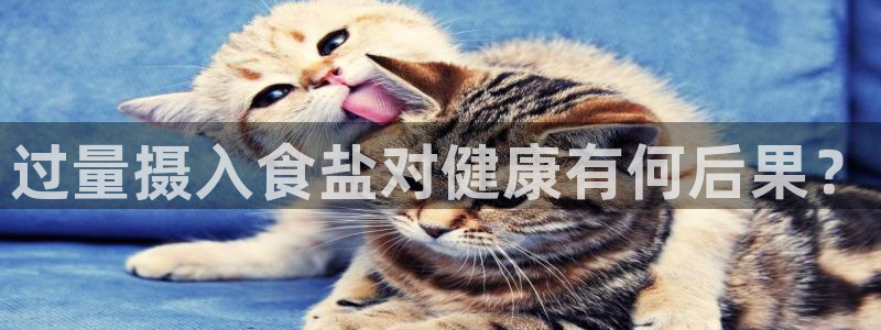 威九国际女演员好漂亮
