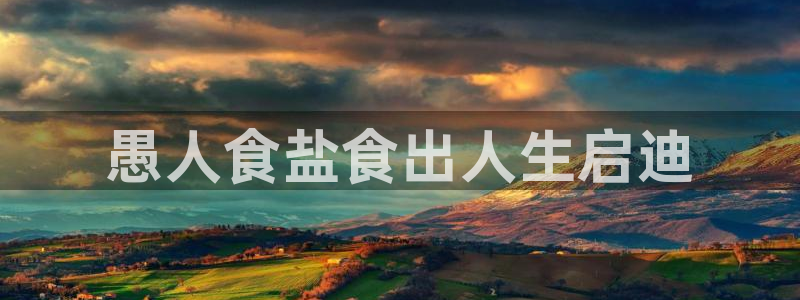 威九国际ppt免费下载网址