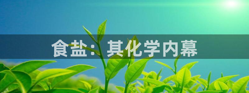 威九国际网站下载