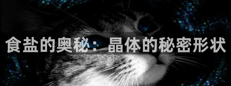 威九国际网站链接