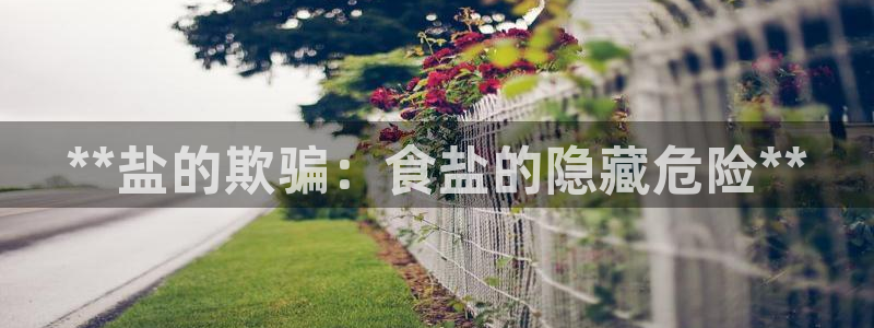 威九国际在线平台怎么样啊