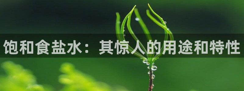 威九国际下载
