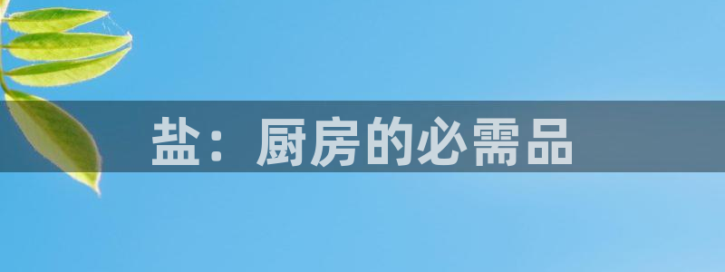 威九国际app网站官网