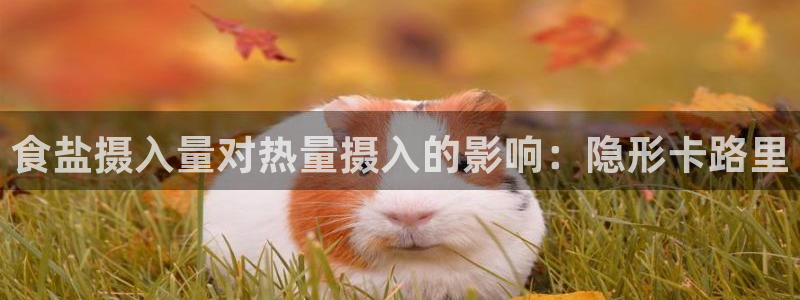 威九国际网站入口官网首页