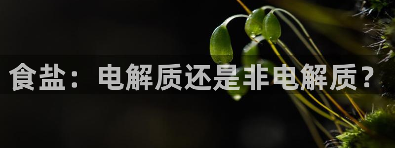 威九国际安全吗