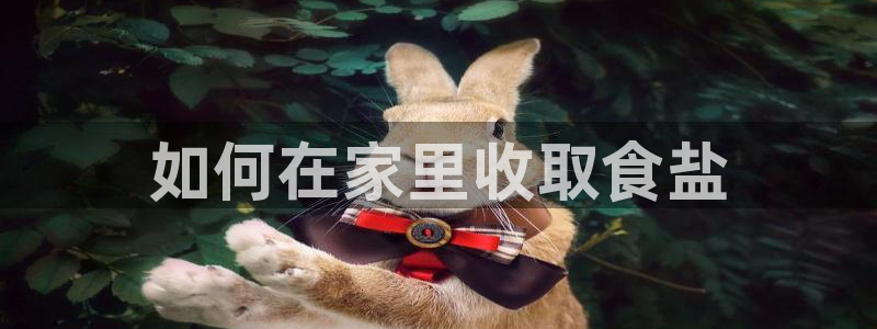 威九国际网站客服电话多少号
