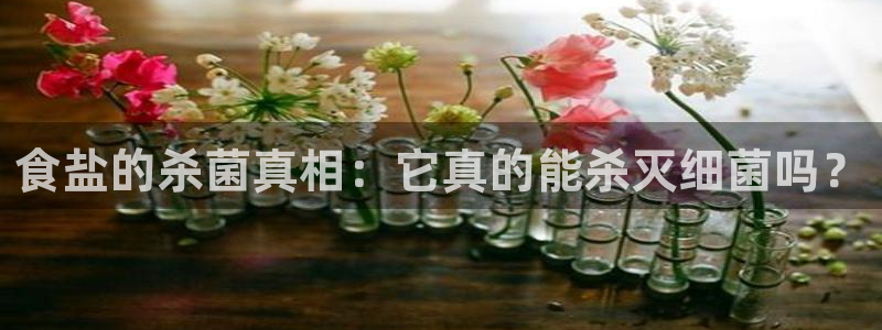 威九国际人民网招聘