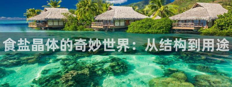 保定威九网络科技有限公司怎么样