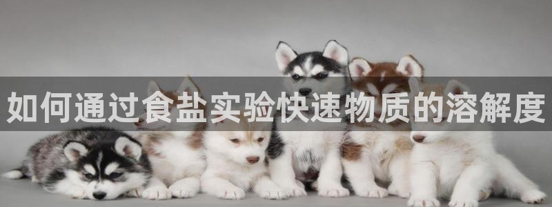 78mapp威九国际网页版