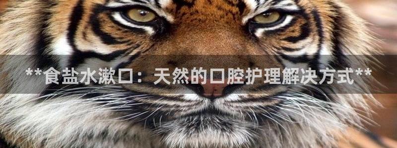 威九国际免费游戏