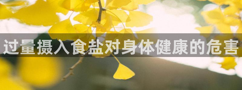 威九国际免费版