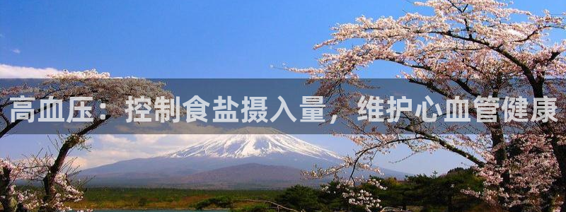 威九国际合作伙伴有哪些