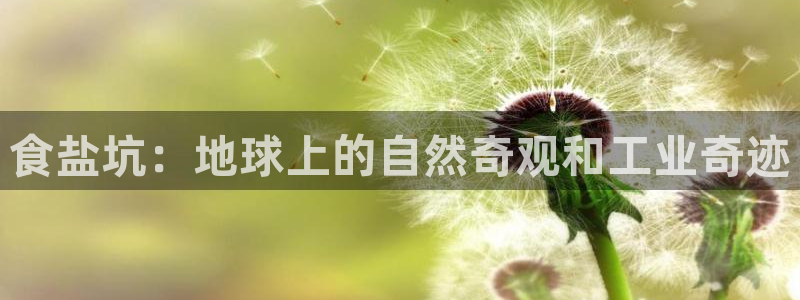 威九国际女儿的朋友