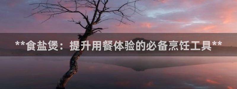 保定威九网络科技有限公司
