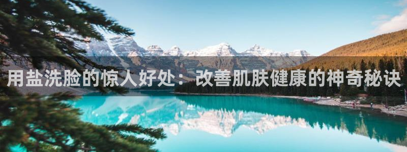 威九国际小说
