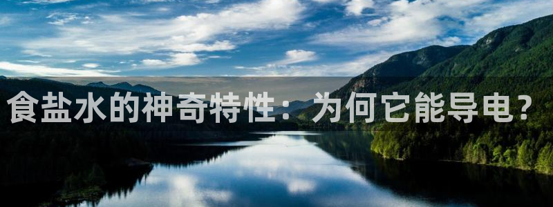 威九国际免费版