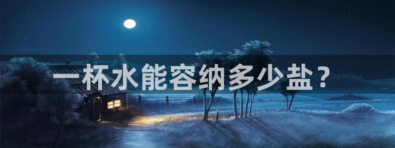 威九国际软件公司简介
