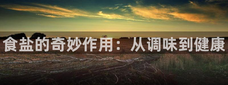 威九国际MV