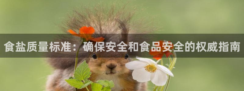 威九国际网站下载