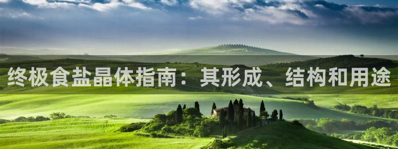 威九国际网站游戏
