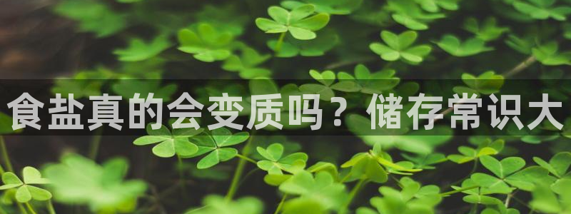 威九国际清砖码
