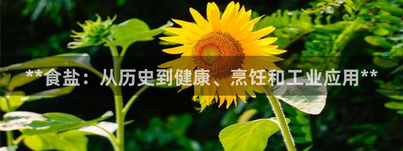 威九国际ppt免费