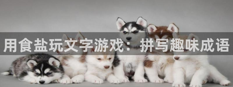 威九国际网站入囗