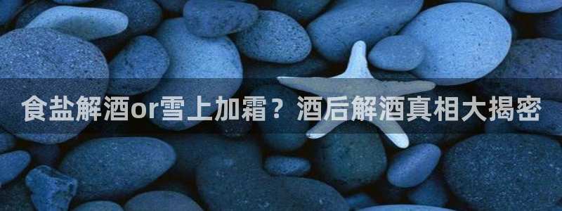 威九国际软件公司简介