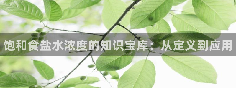 威九国际网站经常打不开网页