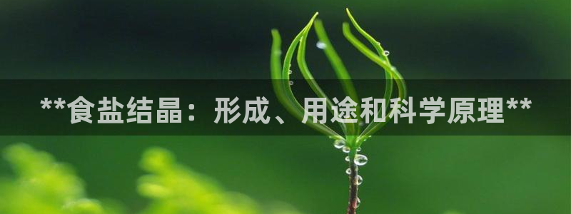 威九国际的金融服务有哪些
