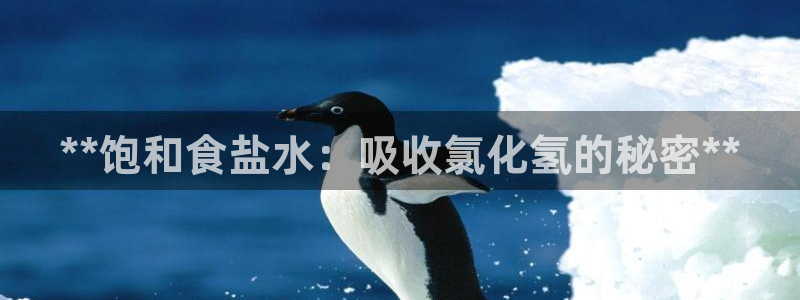威九国际动漫