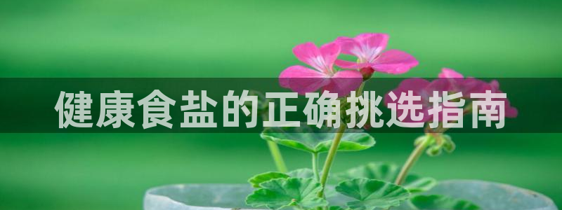 威九国际MM