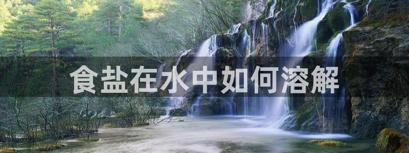 威九国际最新