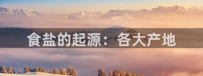 威九国际空降服务怎么样