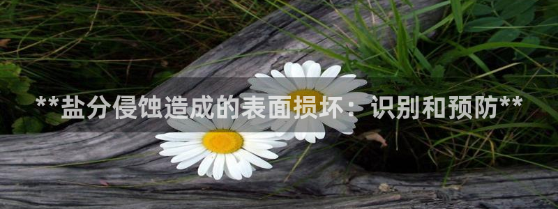 威九国际网站进入客服中心了吗