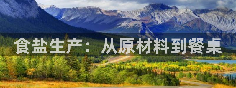 威九国际v9