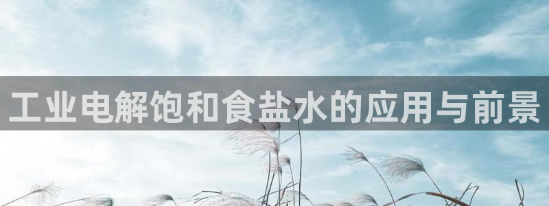 威九国际78m-MBA智库百科