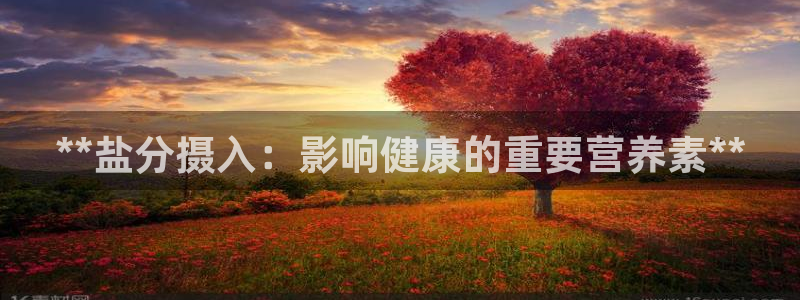 威九国际第一页