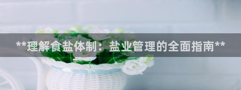 保定威九网络科技有限公司是干嘛的