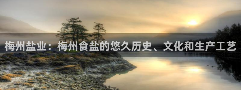 78mapp威九国际网页版
