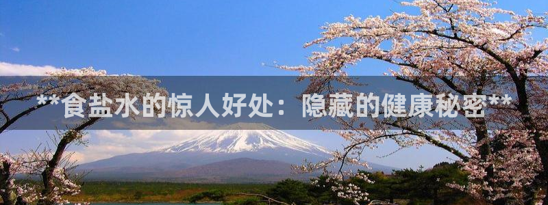 威九国际66