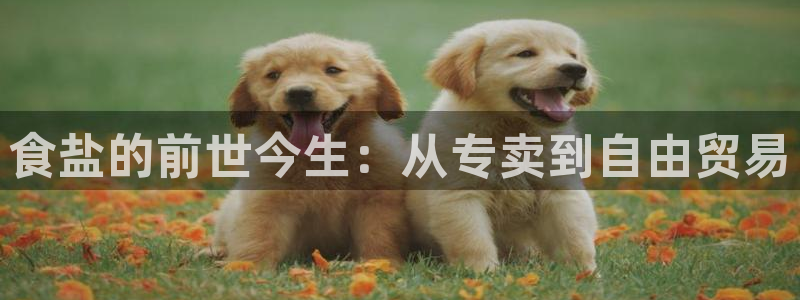 威九国际客服电话号码是多少