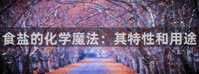 威九国际可以退钱吗怎么退款