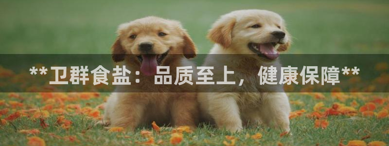 威九国际惠子