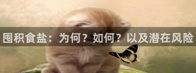 威九国际演员表