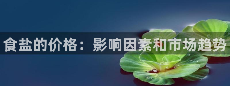 威九国际演员表