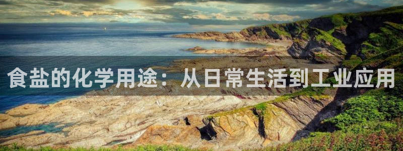 威九国际78