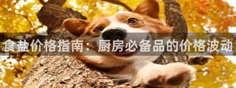 威九国际网站入口官网游戏推荐