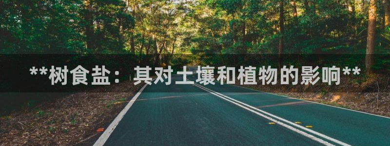 威九国际v96bet下载